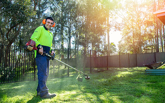 matthew maintaining lawns with a whipper snipper